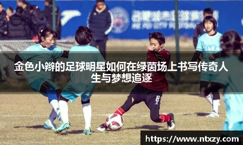 新莆京wns8888官网