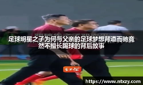 新莆京wns8888官网